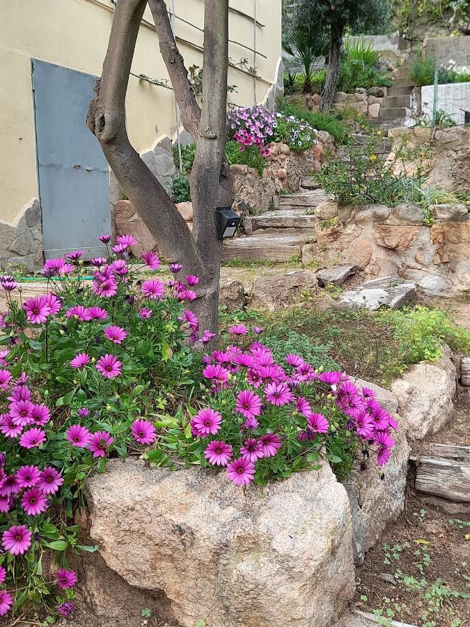 Invit Arti B&B Capoterra Bagian luar foto