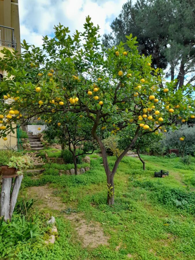 Invit Arti B&B Capoterra Bagian luar foto