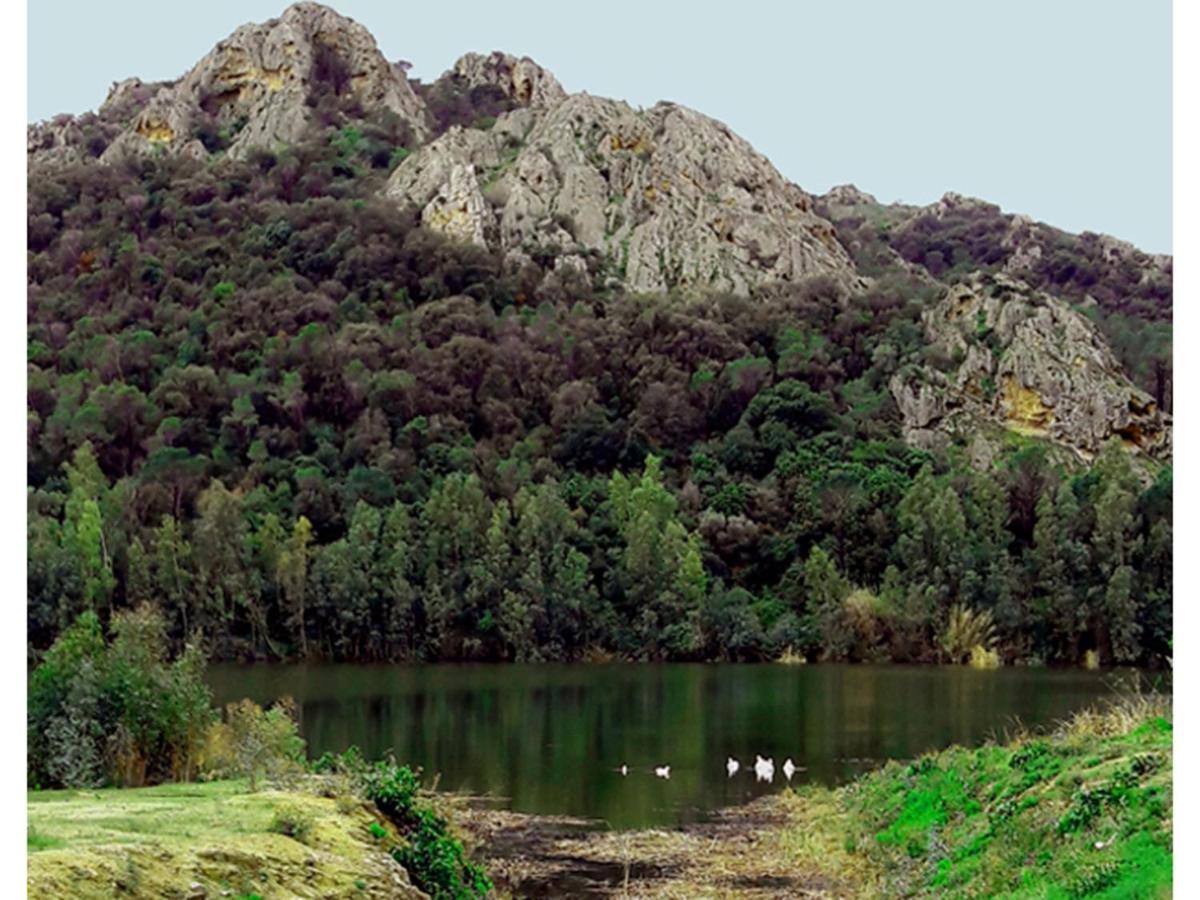 Invit Arti B&B Capoterra Bagian luar foto
